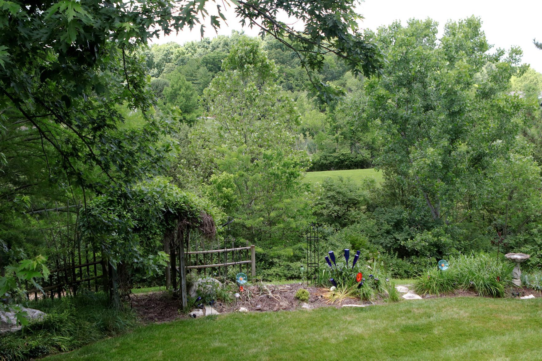 At Home with Wildwood artist